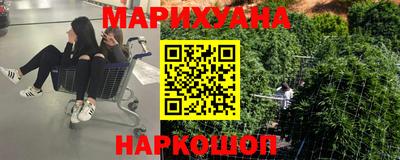 гидра Ставрополь