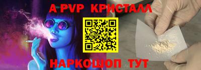 гидра Ставрополь