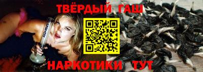 гидра Ставрополь