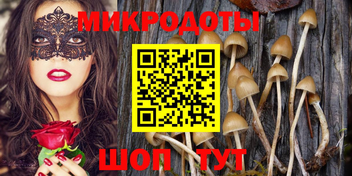 закладка  Галлюциногенные грибы Psilocybine cubensis  Вход с VPN  Псилоцибиновые грибы Magic Shrooms  Норильск 